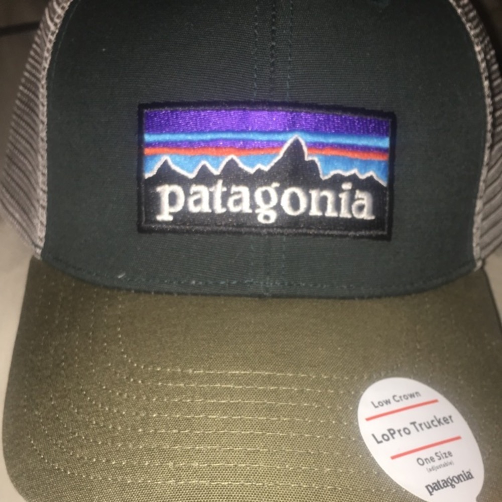 Patagonia trucker hat